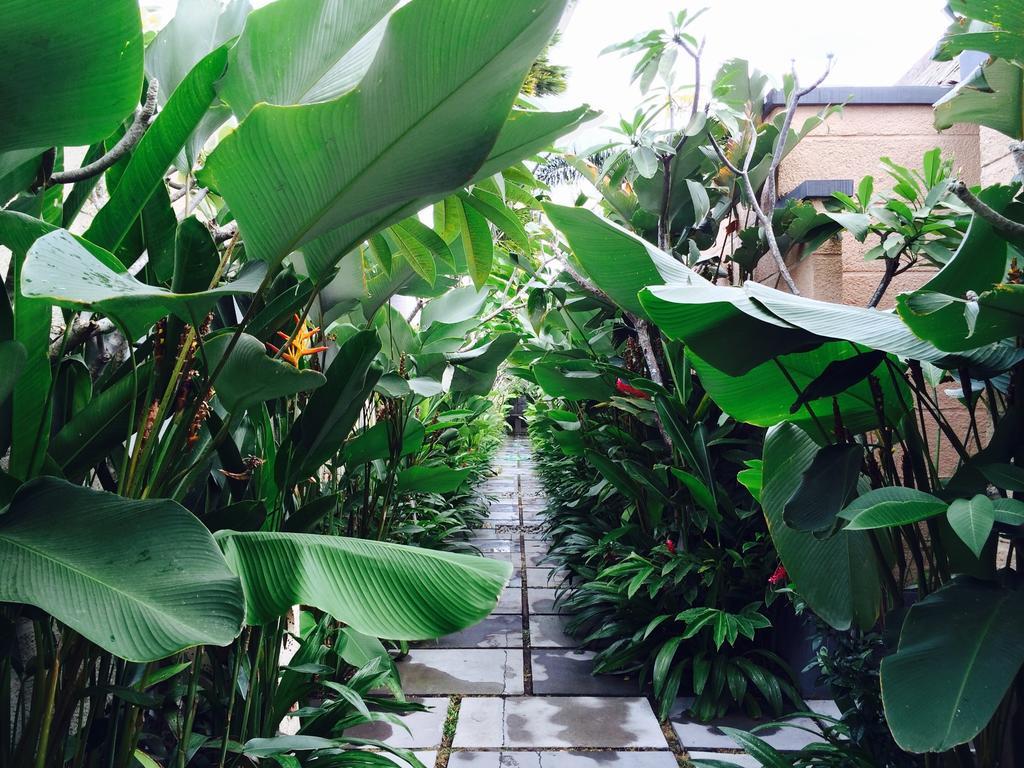 D'Alang Alang Villas Seminyak Exteriér fotografie