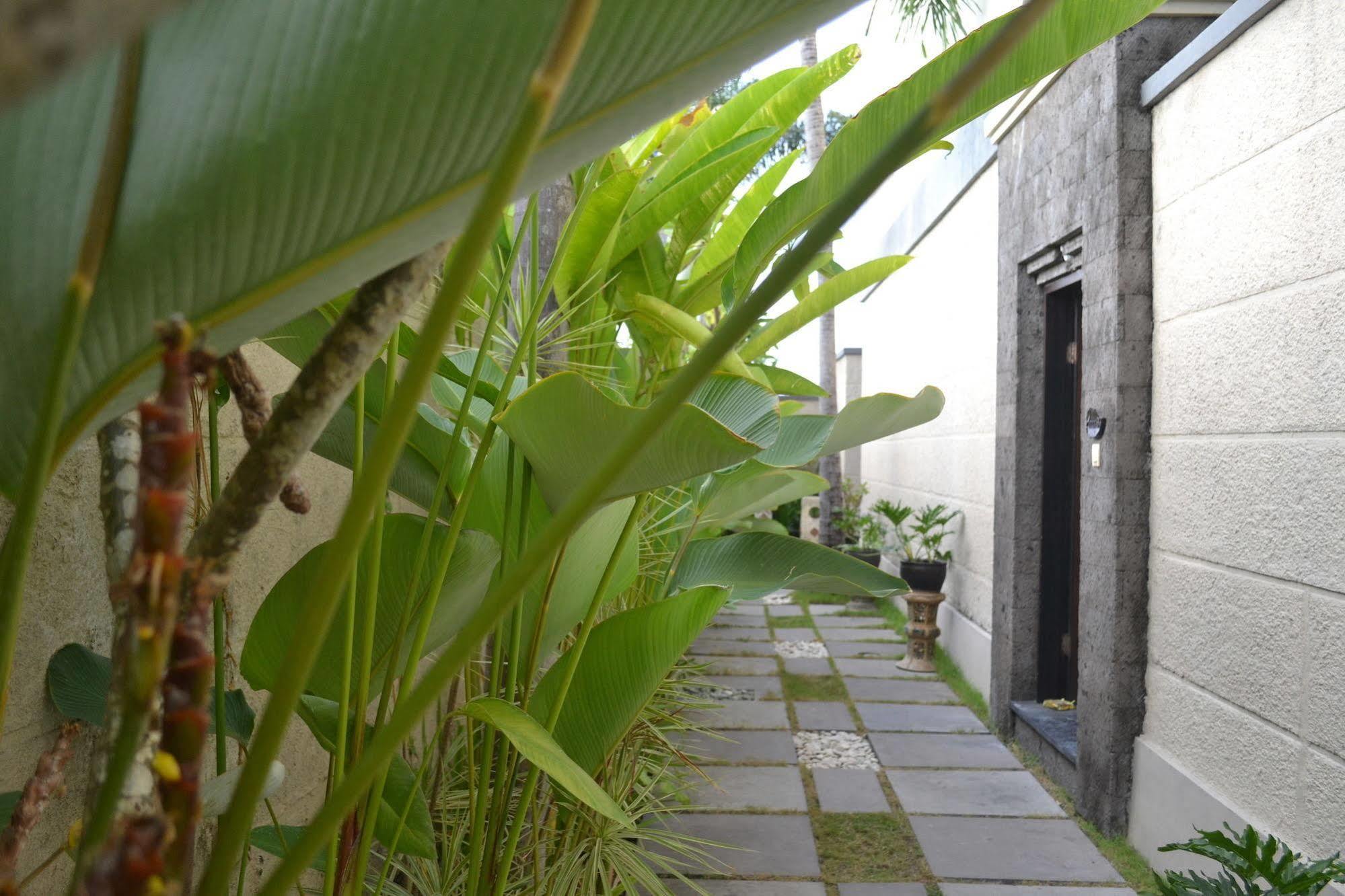 D'Alang Alang Villas Seminyak Exteriér fotografie